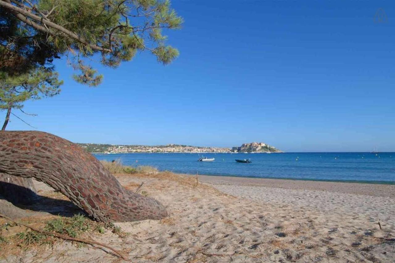 L'Orangeraie Calvi Centre A 300M De La Plage Et Du Port Parking Prive Exterior foto